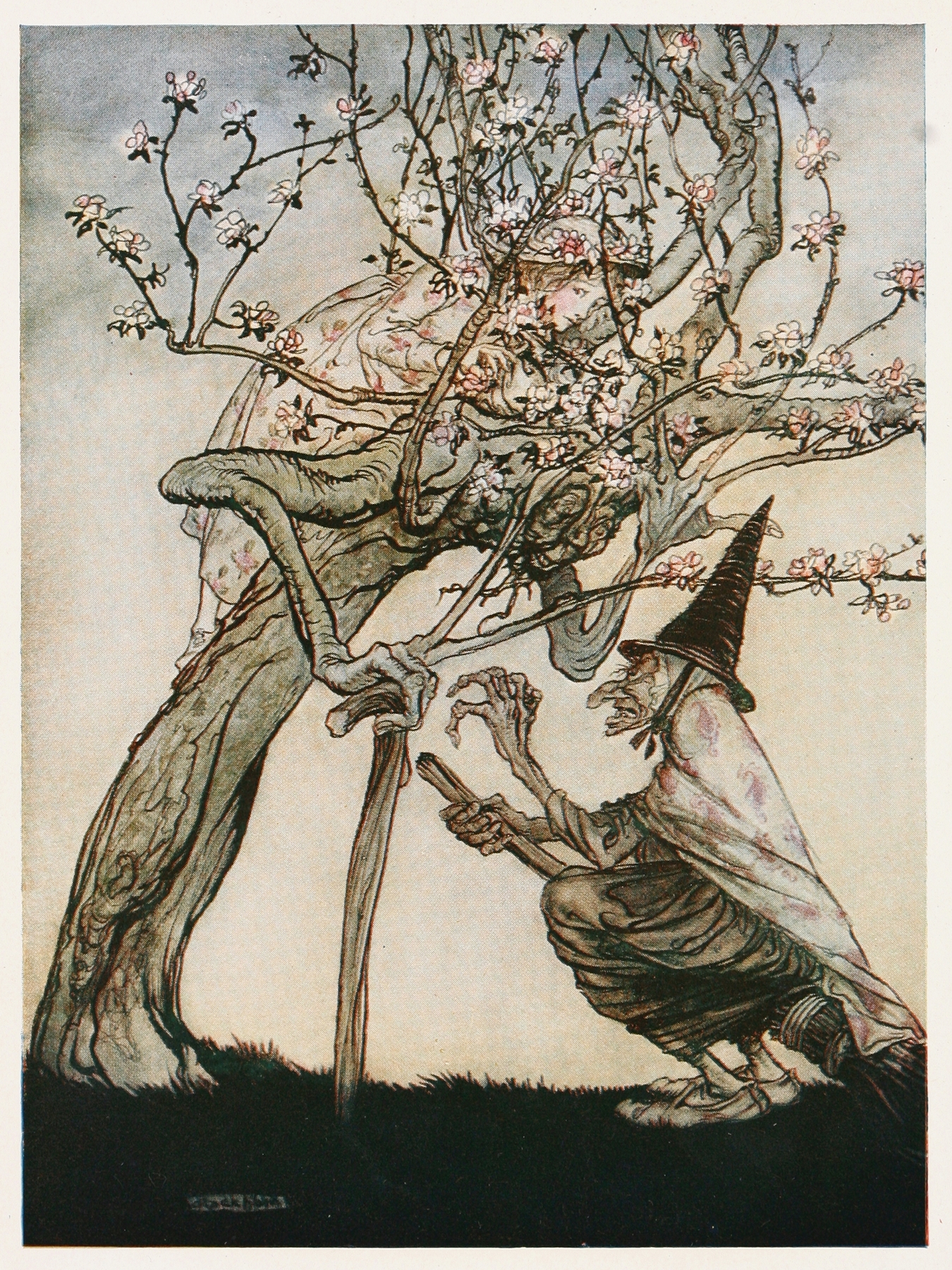 Illustration accompanying oh tree of mine